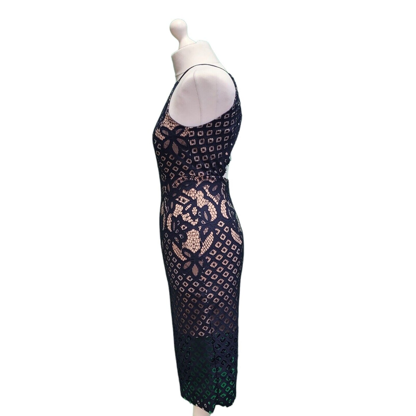 BNWT Bardot Mila Blue Nude Lace Overlay Bodycon Pencil Women's Dress UK 8 G911