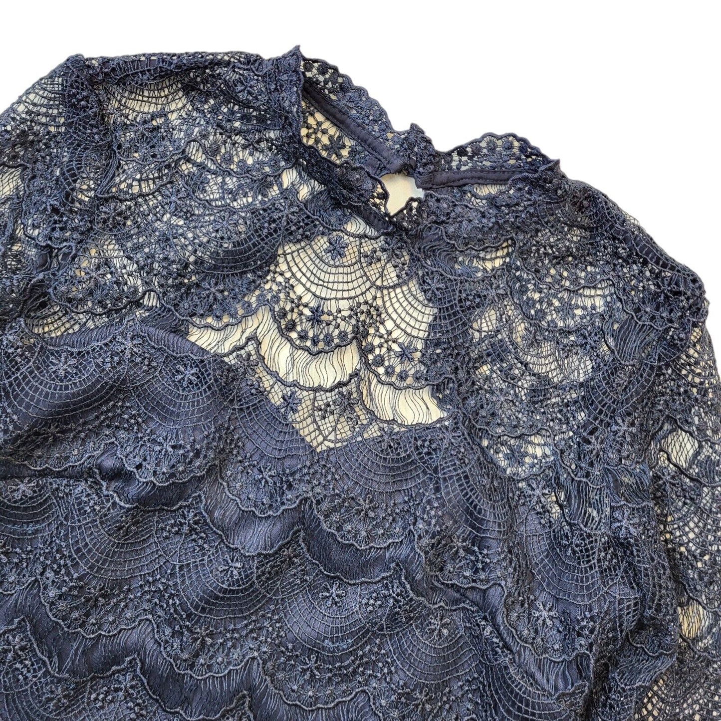 Paper Dolls Blue Lace Half Sleeve Evening Pencil Dress Women's BNWT UK 8 G823