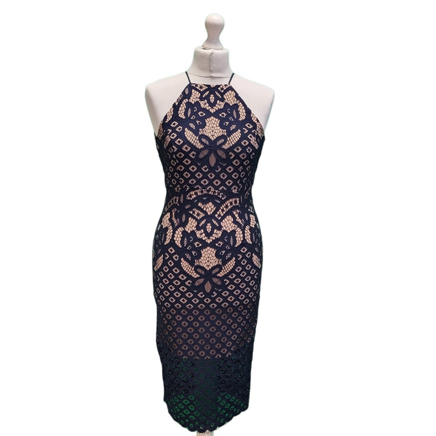 BNWT Bardot Mila Blue Nude Lace Overlay Bodycon Pencil Women's Dress UK 8 G911