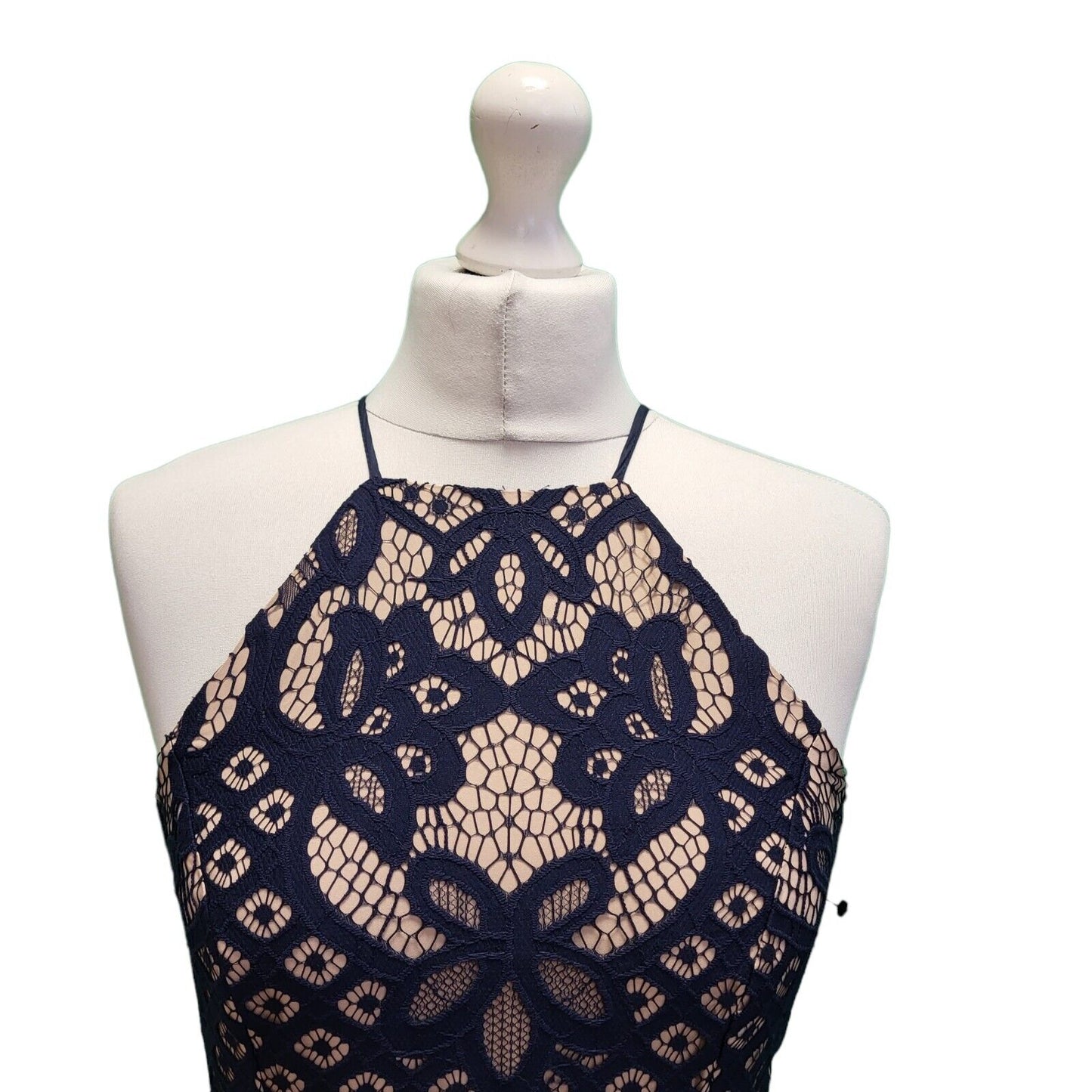 BNWT Bardot Mila Blue Nude Lace Overlay Bodycon Pencil Women's Dress UK 8 G911