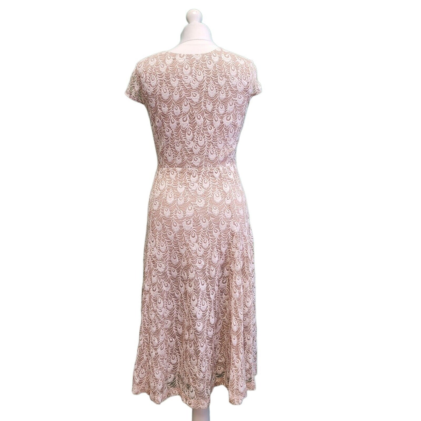 Joy Raphaella Peach Lace V-Neck Evening Dress Women's BNWT UK 8 BNWT G817