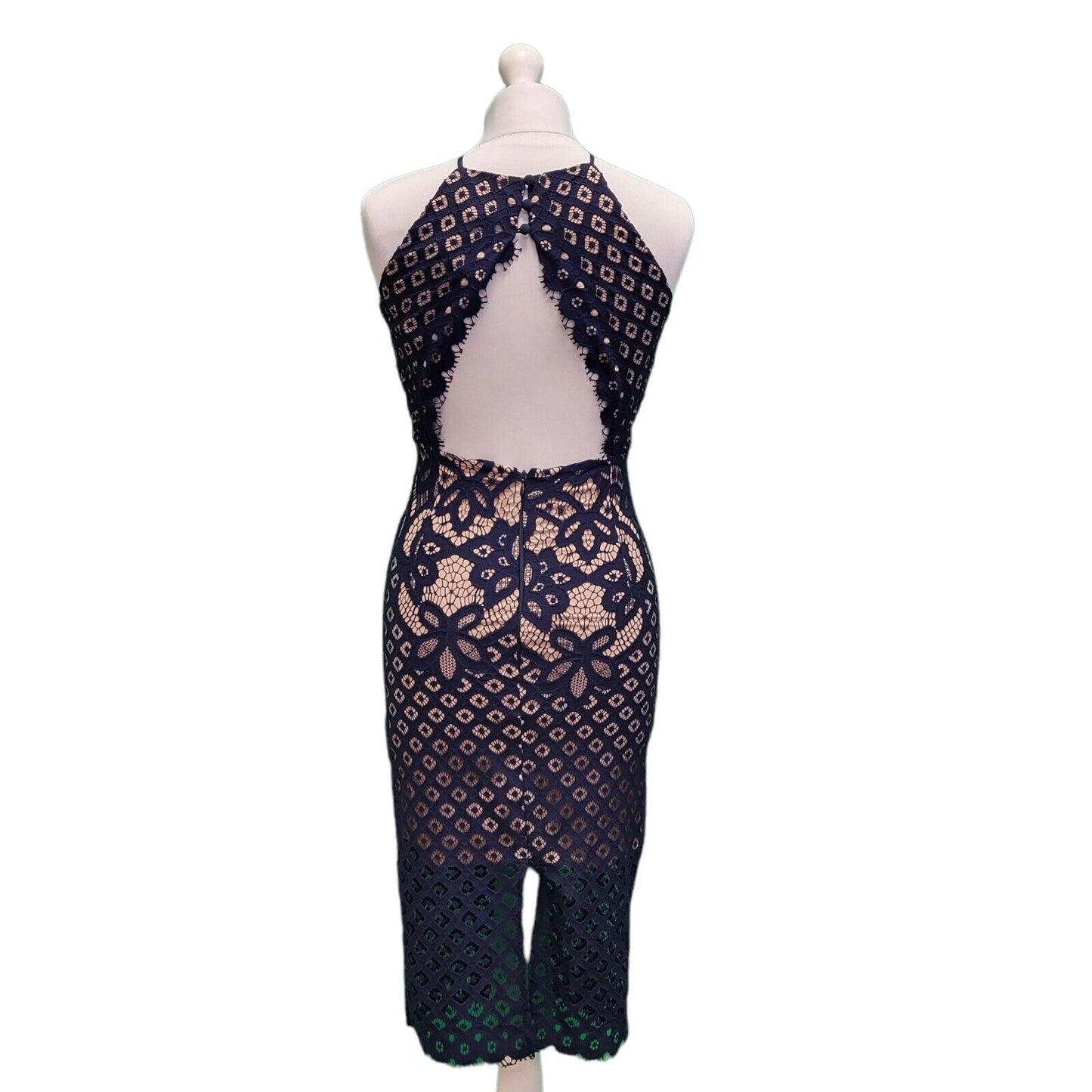 BNWT Bardot Mila Blue Nude Lace Overlay Bodycon Pencil Women's Dress UK 8 G911